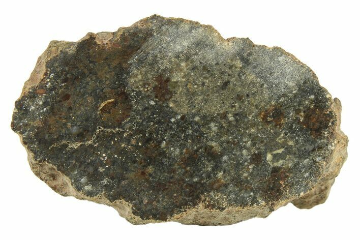 Polished Howardite Meteorite Section ( g) - Bechar #286936